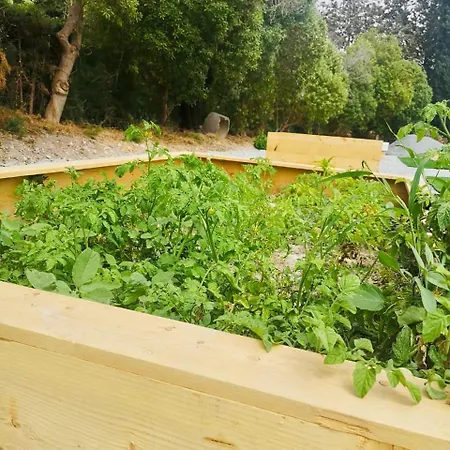 アパート 2 Bed With Pool & Garden