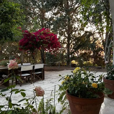 2 Bed With Pool & Garden Yeroskipou